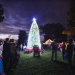 Holiday tree lighting • Saturday